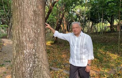 AMLO propondrá a Biden dar visas a campesinos del programa Sembrando Vida