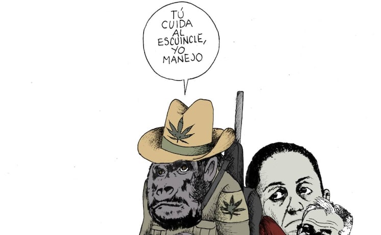 Cartón de KEMCHS