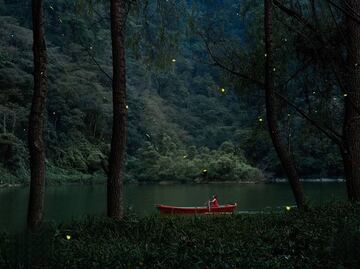 Así es el paseo en lancha para ver luciérnagas en Tlatlauquitepec