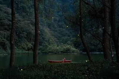 Así es el paseo en lancha para ver luciérnagas en Tlatlauquitepec