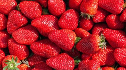 Qué pasa si comes fresas sin desinfectar