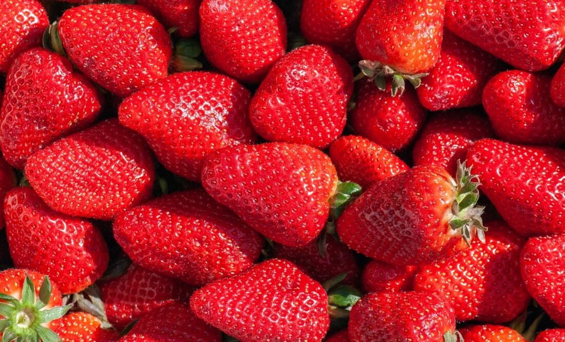 La fresa mexicana es una de las más exportadas a nivel mundial. Foto: Unsplash