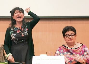 Godoy da disculpas por el caso de Lesvy