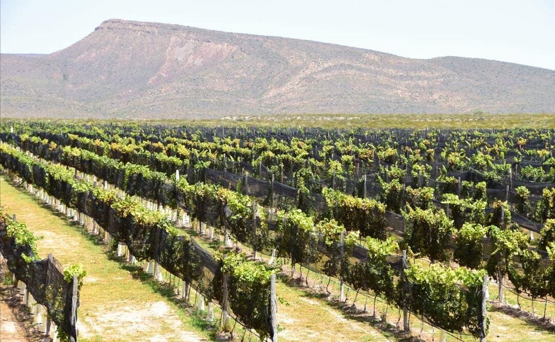 Fotos: Facebook Hacienda Florida