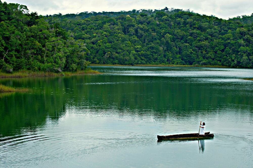 La Selva Lacandona es  el hogar de más de 300 especies de aves. (Foto: Turismo Chiapas)