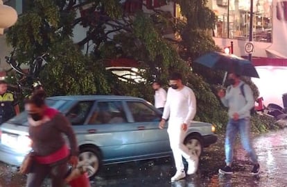 Cae árbol sobre puesto de periódicos y provoca la muerte de un menor en Puebla