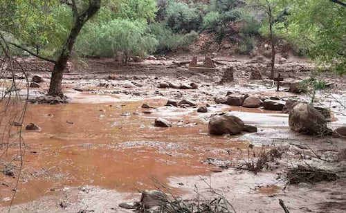 Inundación repentina golpea el Gran Cañón; autoridades buscan a más de 20 posibles desaparecidos