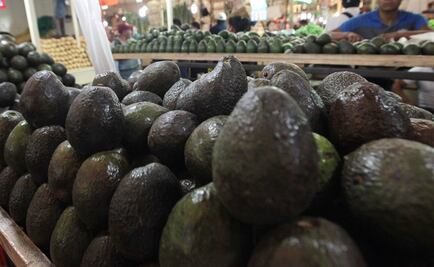 Aguacate baja a 60 pesos el kilo en mercados del país