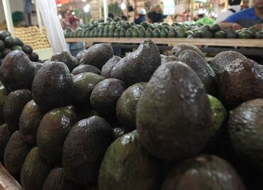 Aguacate baja a 60 pesos el kilo en mercados del país