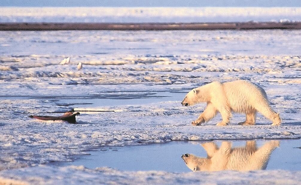 Foto: Archivo EL UNIVERSAL.