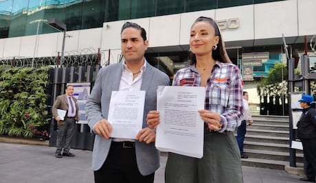 Diputada de MC promueve amparo para demandar protección de animales en refugios de CDMX