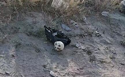 Colectivo localiza restos óseos y un cráneo en Reynosa, Tamaulipas; autoridades acordonaron el área 