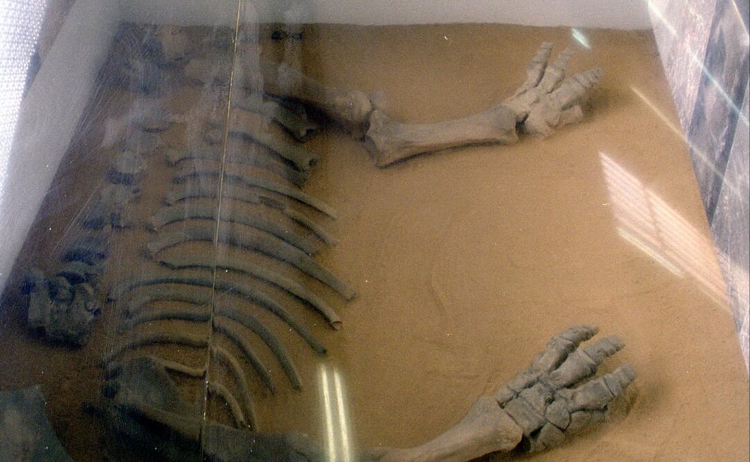 Foto: Archivo El UNIVERSAL