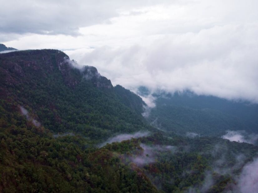 Selección de la editora: 5 paraísos de vida silvestre en México que otros países envidiarían