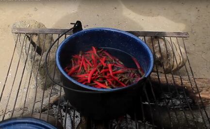 Flores comestibles, receta de sopa de flor de colorín
