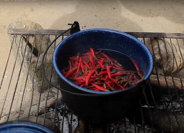 Flores comestibles, receta de sopa de flor de colorín