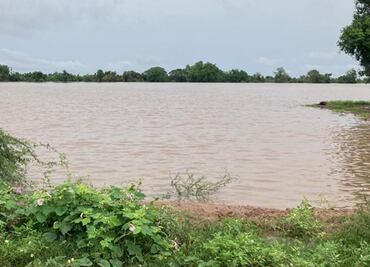 Recuperan cuerpos de jóvenes arrastrados por corriente de río en Guasave, Sinaloa