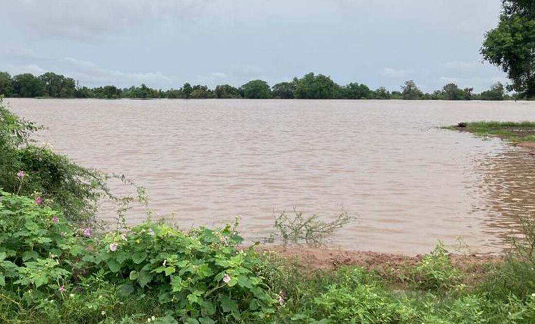 Foto: Archivo EL UNIVERSAL