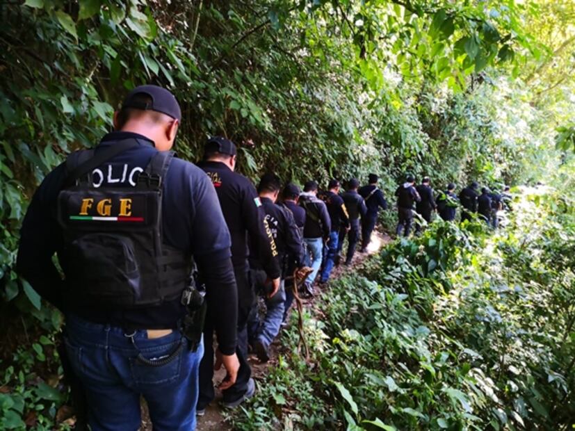 Recuperan finca de 209 hectáreas en la biósfera El Triunfo