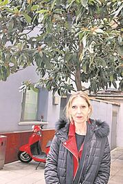 Preocupa a la UE situación que vive México: eurodiputada