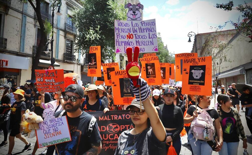 Marcha Maltrato Animal CDMX. / Foto: Berenice Fregoso, EL UNIVERSAL.