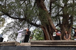 Gobierno de CDMX declara a los árboles "Jardín San Fernando" y "Glorieta de Ahuehuetes" como Patrimonio Natural de la Ciudad