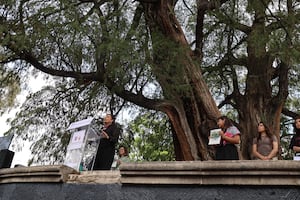 Gobierno de CDMX declara a los árboles "Jardín San Fernando" y "Glorieta de Ahuehuetes" como Patrimonio Natural de la Ciudad