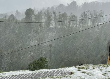 Intensa granizada daña cultivos, viviendas y derriba árboles en zona montañosa de Veracruz