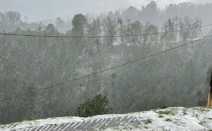 Intensa granizada daña cultivos, viviendas y derriba árboles en zona montañosa de Veracruz
