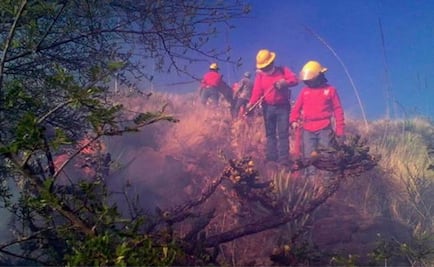 Municipio Puerto Morelos interpone denuncia por incendios forestales