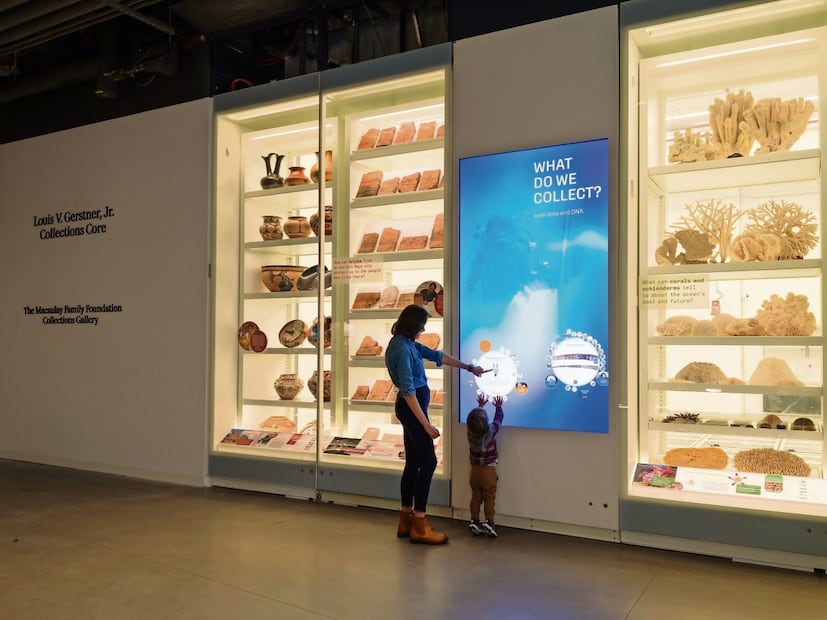 Foto: Richard Gilder Center