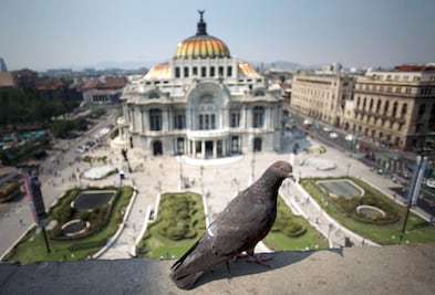 Mejora ligeramente calidad del aire, en marco de desabasto de gasolina