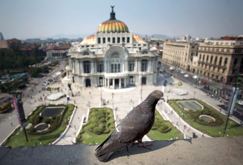 Mejora ligeramente calidad del aire, en marco de desabasto de gasolina