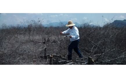 Suspenden obra por daños al ecosistema en Elota, Sinaloa