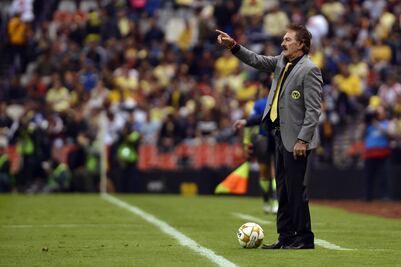 "Es un halago que en Ecuador tengan interés en mi": La Volpe