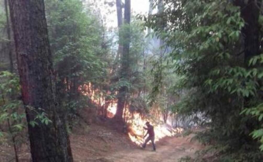 Se registra incendio en Monte Alto, Valle de Bravo