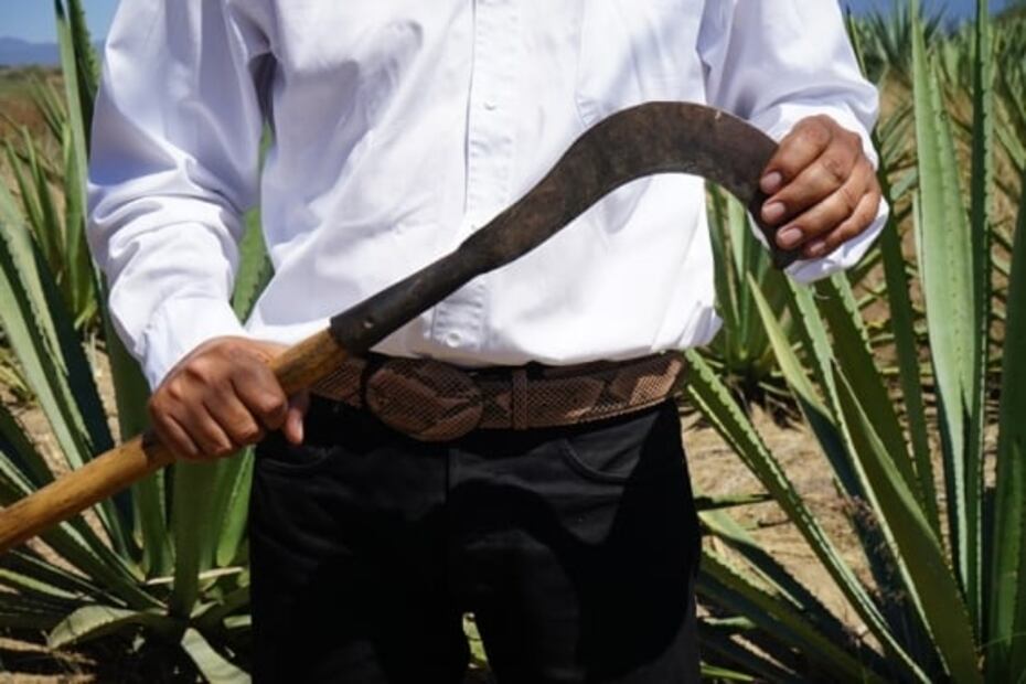 Descubre el mezcal que se elabora en Zapotitlán, Jalisco