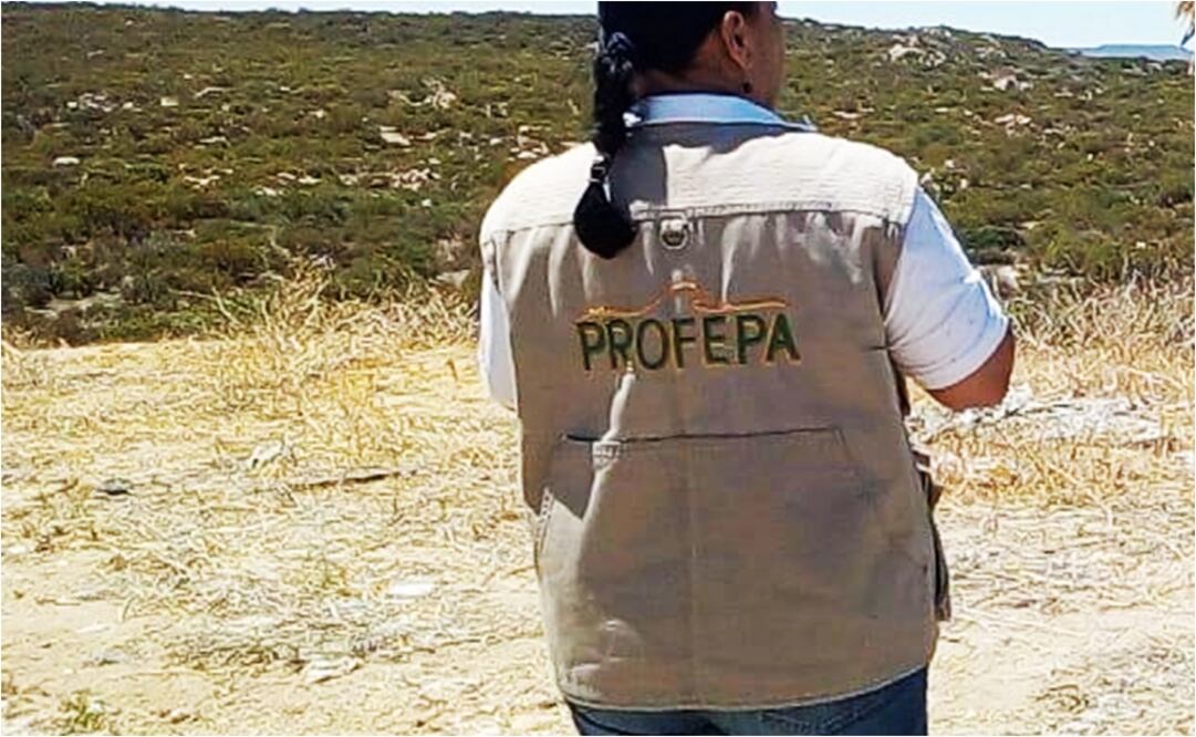 (Foto: Tomada de Facebook)