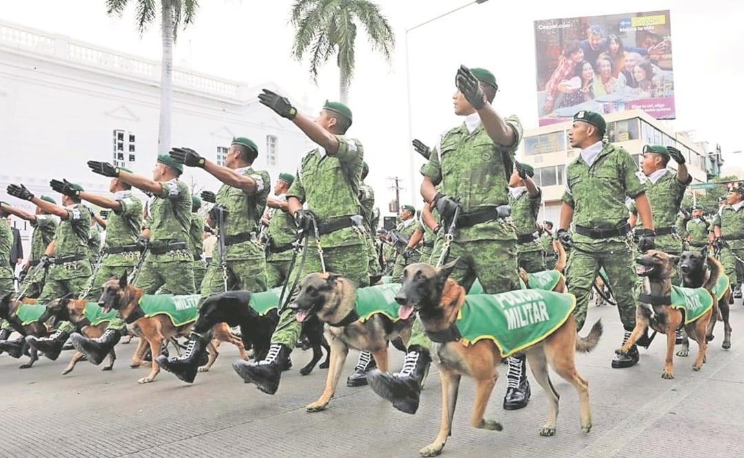 En el evento los ciudadanos pudieron apreciar las habilidades y destrezas de los diversos contingentes de seguridad. Foto: CORTESÍA