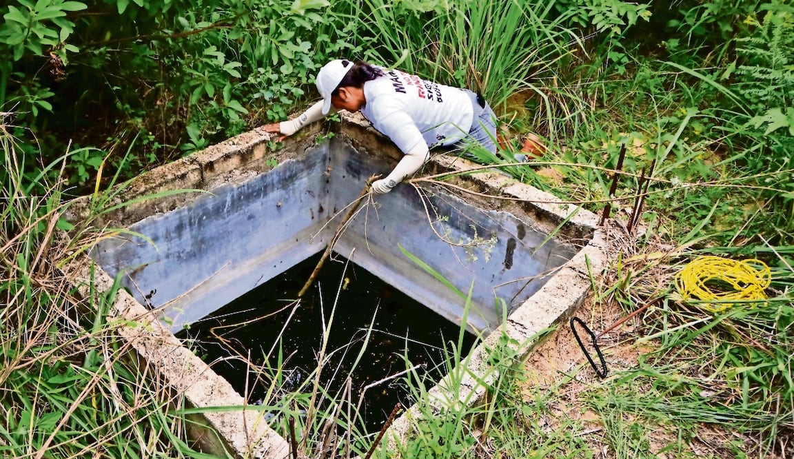 Madres buscadoras exigen apoyo integral y que el gobierno deje los “abrazos, no balazos” y combata a la delincuencia. Foto: Archivo El Universal