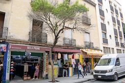 Detectan árboles enfermos y muertos en Centro Histórico
