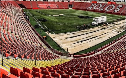 Xolos tendrá nuevo pasto para el Apertura 2018