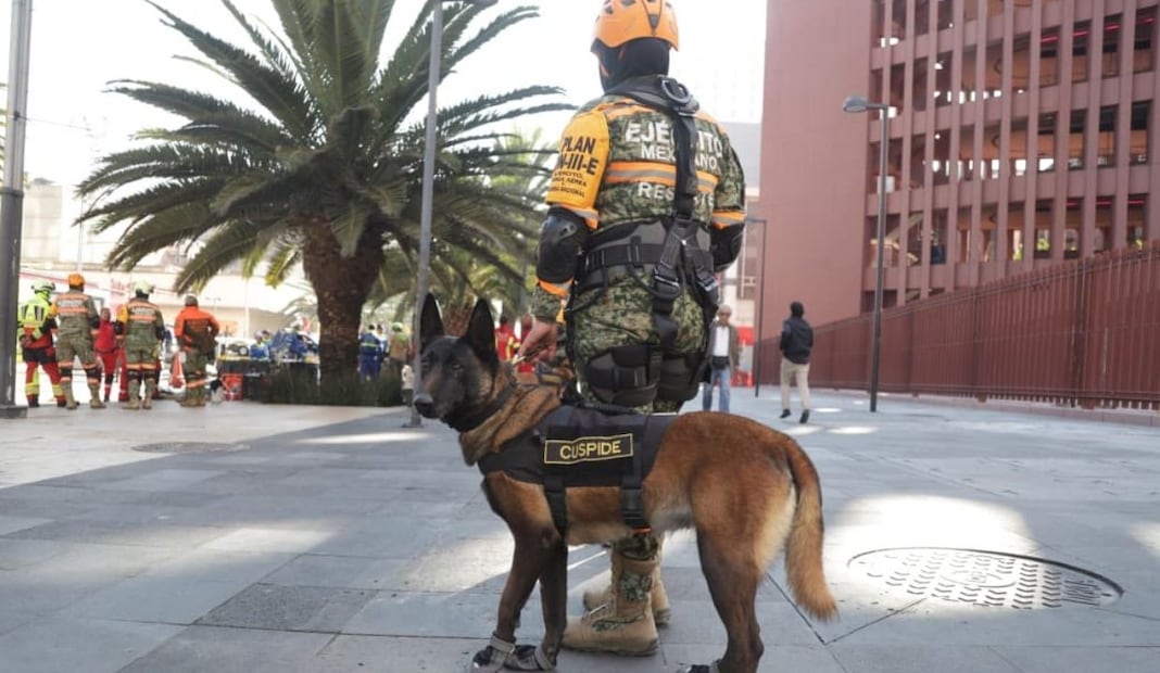 Preparativos para el simulacro sobre avenida Juárez. FOTO: CARLOS MEJIA/EL UNIVERSAL