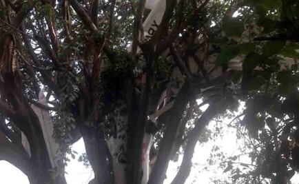 Cae avioneta de escuela de aviación en Cuernavaca; hay un herido