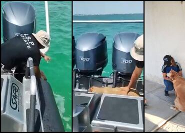 Bomberos rescatan a perrita que fue arrastrada por la corriente en Yucatán