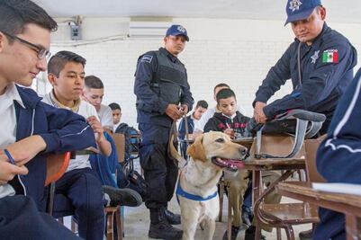Un día después de la tragedia, operativo hasta con perros