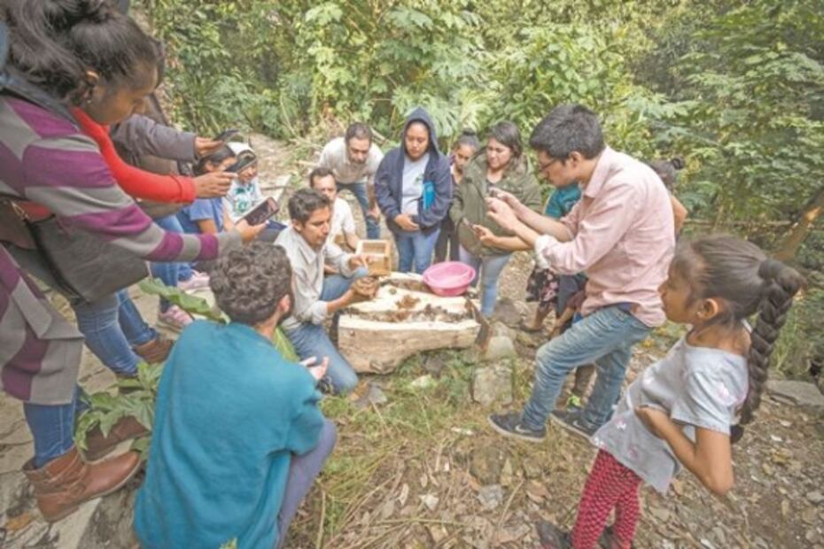 Hallan segunda oportunidad con programa