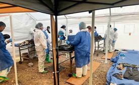 Cuando el duelo se vuelve tortura; víctimas del Crematorio Plenitud enfrentan problemas de salud mental