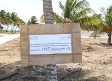 Alertan por ecocidio en varias zonas de Yucatán; Semarnat ya investiga