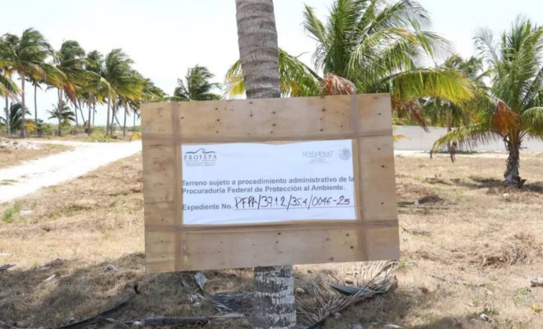 Investigan ecocidio en Yucatán (02/06/2025). Foto: Especial